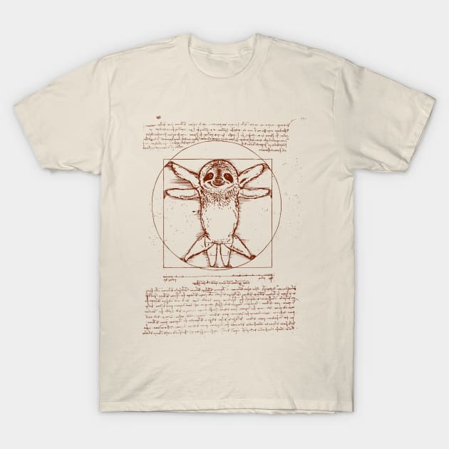 Vitruvian Sloth T-Shirt by huebucket